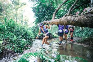 BIB: 
                            <button type="button" onclick="openModal(25443238)" class="btn btn-primary btn-sm float-right btn-popup" data-toggle="modal" data-target=".modal-high-quality">
                        <i class="fas fa-shopping-cart"></i> Add to Cart
                    </button>
                                            <button type="button" onclick="isThisMe(25443238, true)" class="btn btn-success btn-sm float-right btn-popup btn-isme hidden" data-toggle="tooltip" data-placement="bottom" title="นี่คือรูปของคุณใช่ไหม คลิกที่นี่เพื่อเอาเข้าอัลบั้ม">
                        <i class="fas fa-plus"></i> Add to album
                    </button>
                    <button type="button" onclick="isThisMe(25443238, false)" class="btn btn-warning btn-sm float-right btn-popup btn-isnotme hidden">
                        <i class="fas fa-ban"></i> Remove from album
                    </button>